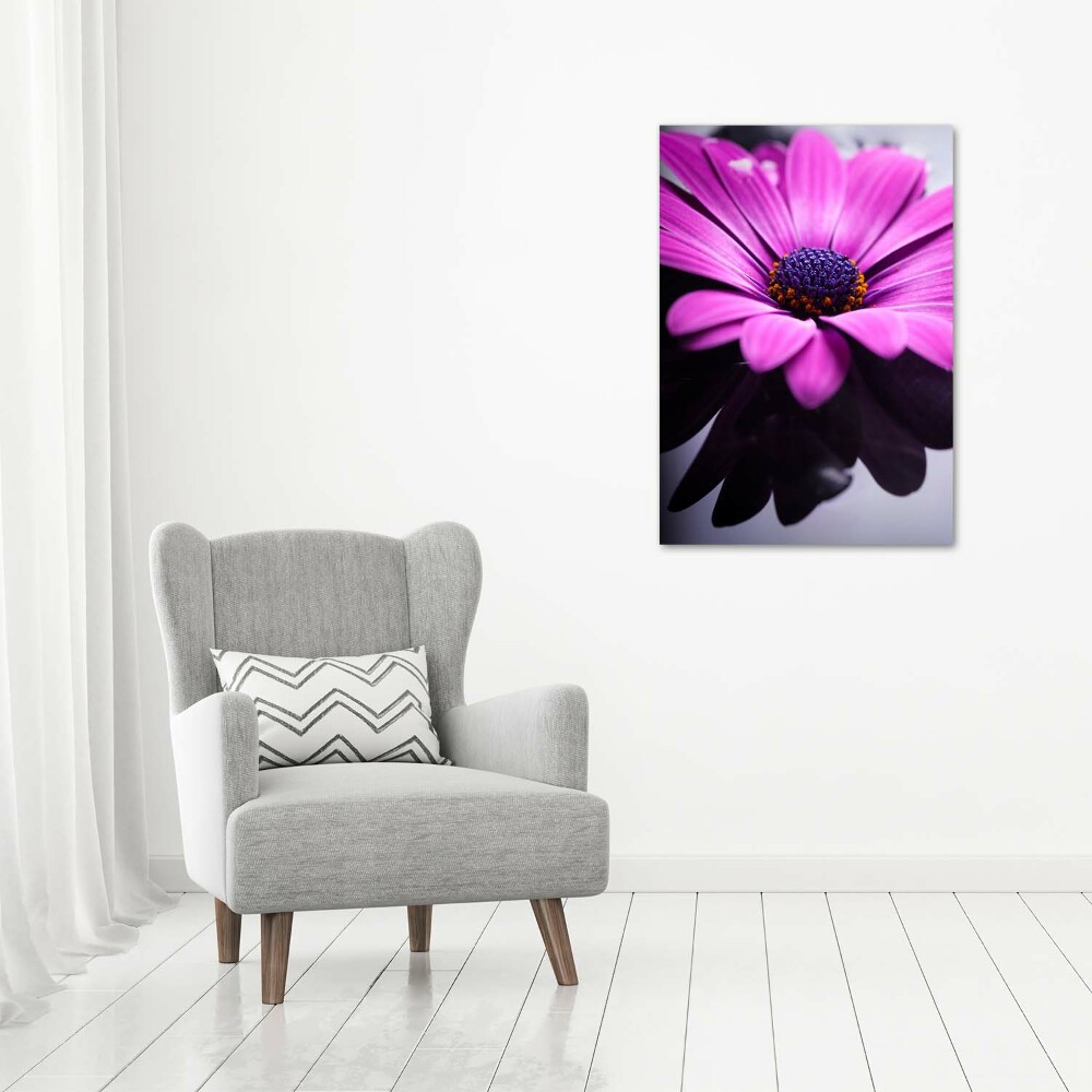 Foto-obraz canvas do obýváku Růžová gerbera