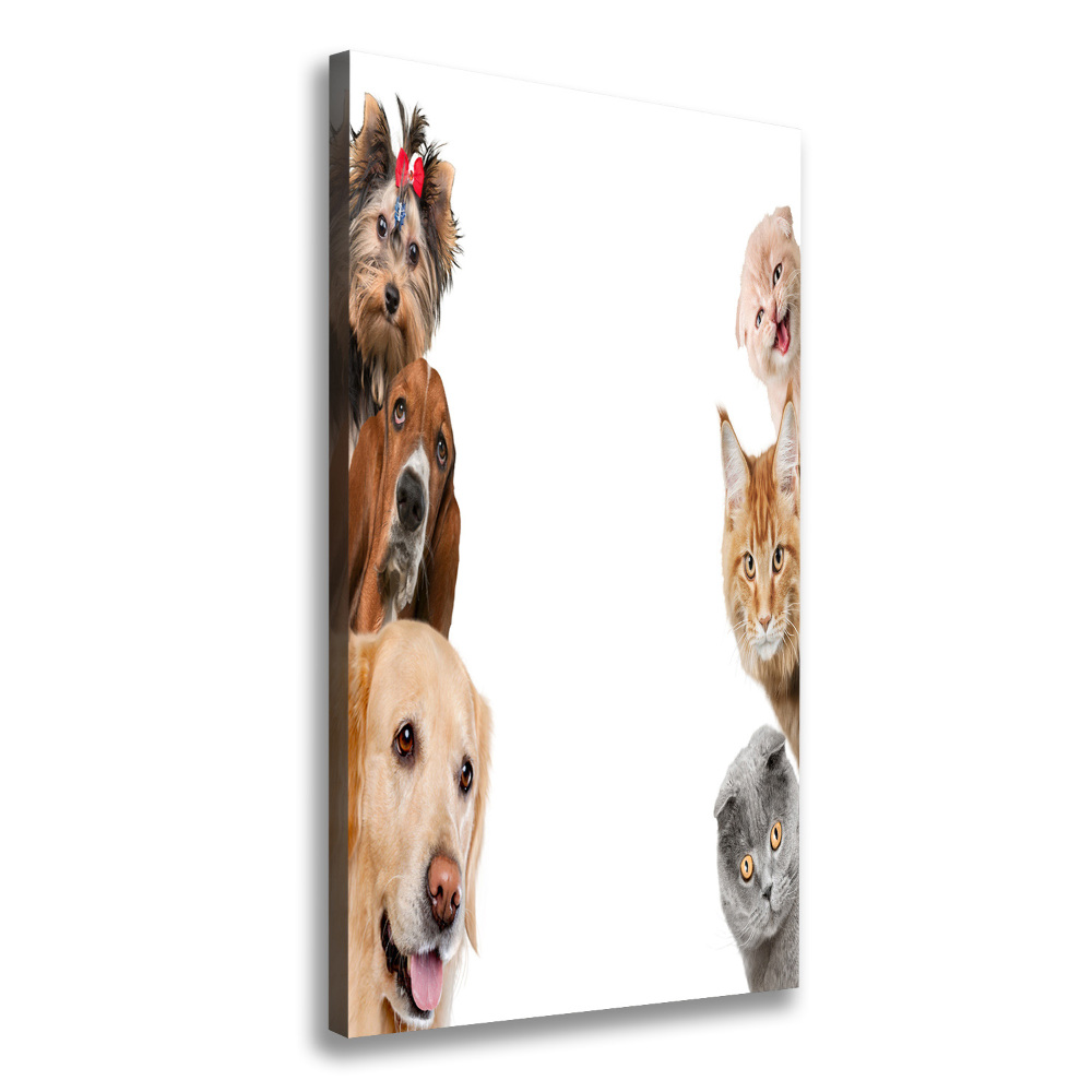 Vertikální Vertikální Foto obraz na plátně do obýváku Psy a kočky
