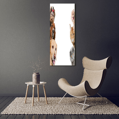 Vertikální Vertikální Foto obraz na plátně do obýváku Psy a kočky