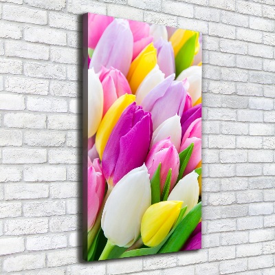 Vertikální Foto obraz na plátně Barevné tulipány