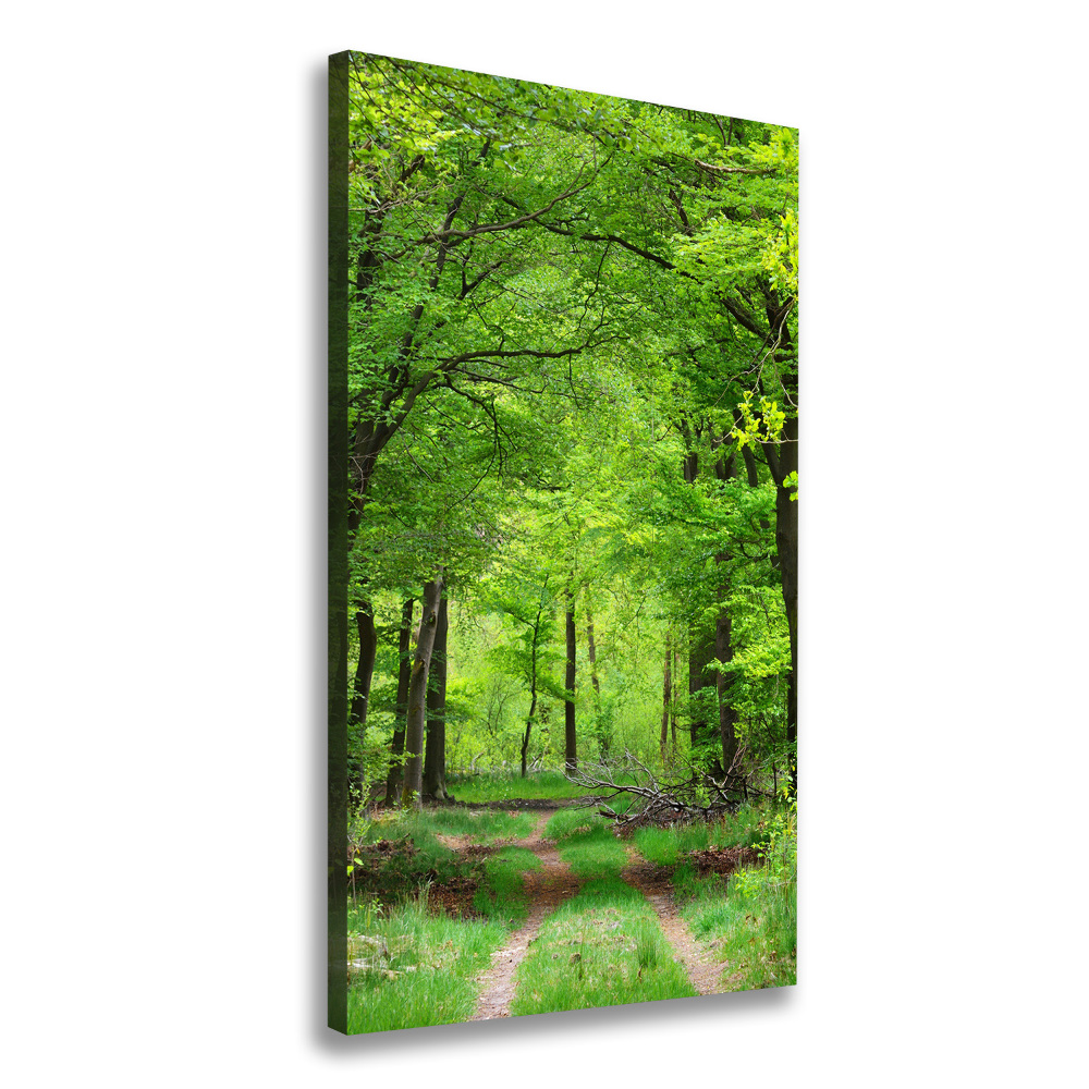Vertikální Vertikální Foto obraz na plátně do obýváku Zelený les