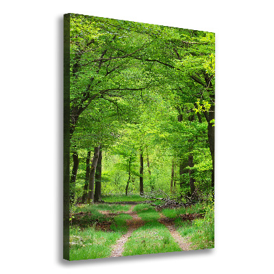 Vertikální Vertikální Foto obraz na plátně do obýváku Zelený les