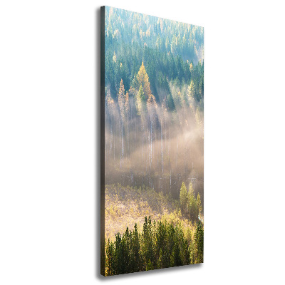 Vertikální Fotoobraz fotografie na plátně Mlha nad lesem