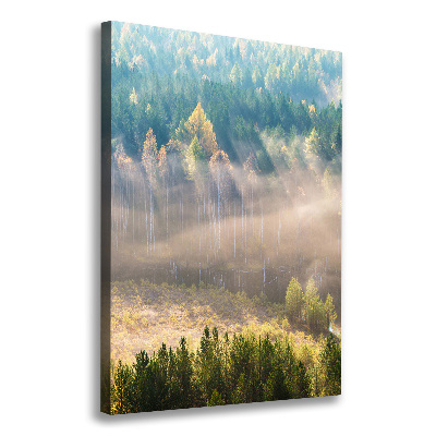 Vertikální Fotoobraz fotografie na plátně Mlha nad lesem