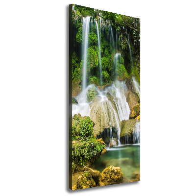 Vertikální Foto obraz na plátně Vodopád v džungli