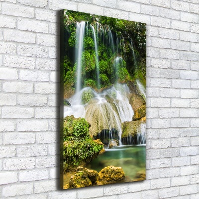 Vertikální Foto obraz na plátně Vodopád v džungli
