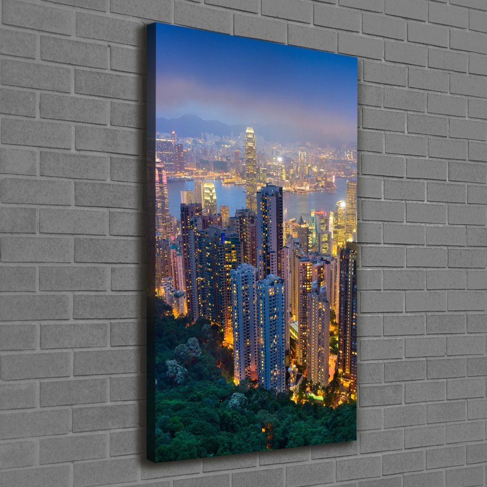 Vertikální Foto obraz na plátně Noční Hong kong