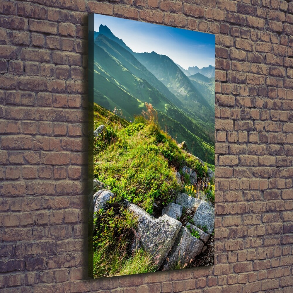 Vertikální Vertikální Foto obraz na plátně do obýváku Hory létem