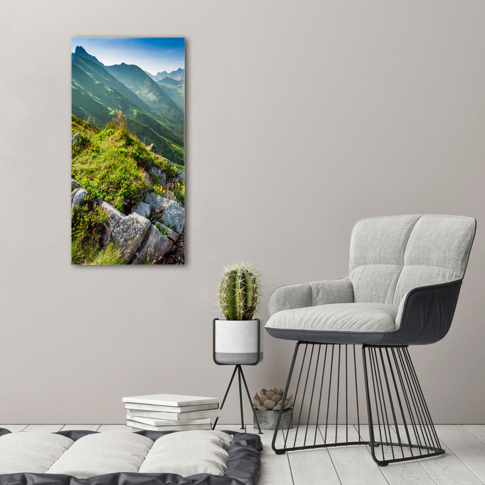 Vertikální Vertikální Foto obraz na plátně do obýváku Hory létem