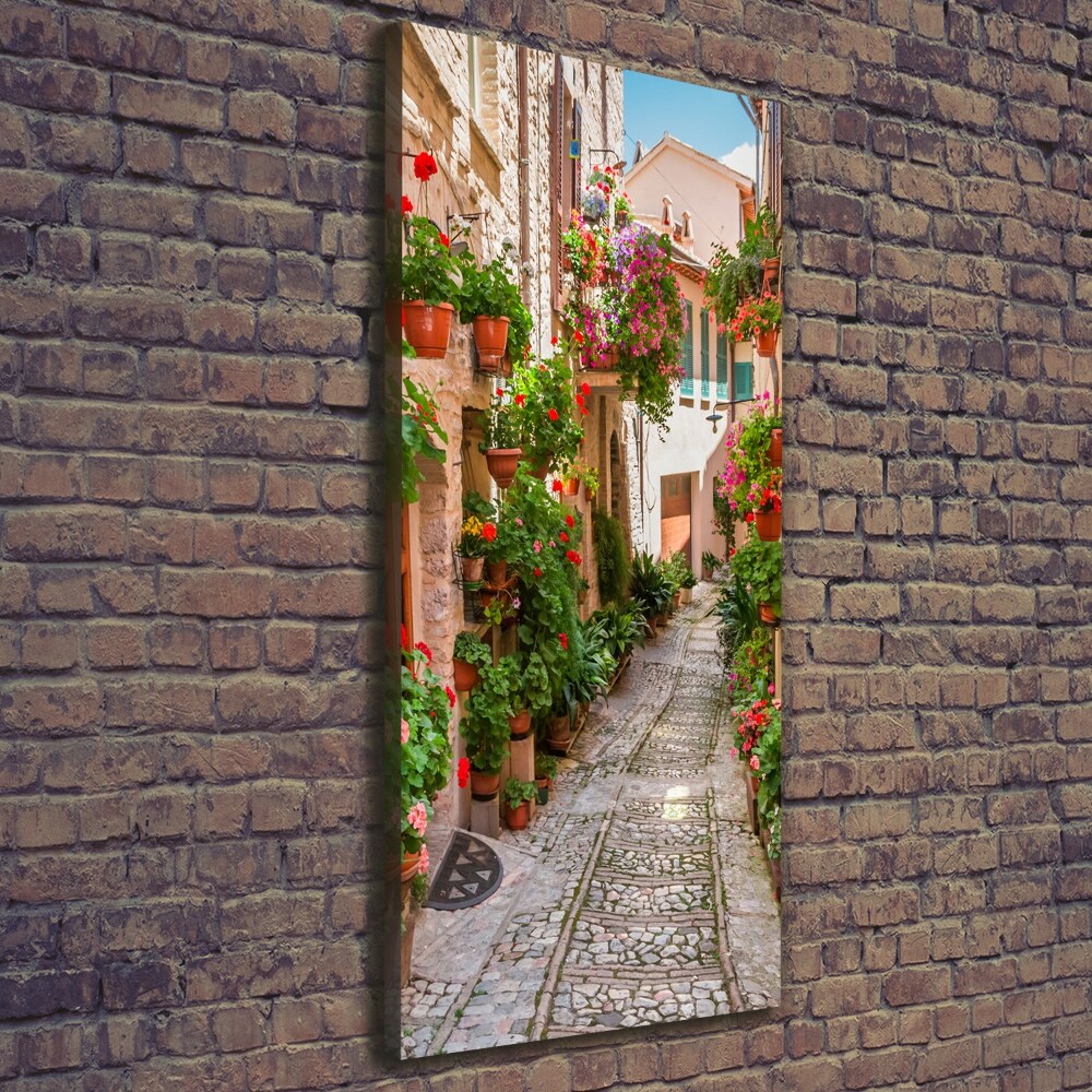 Vertikální Foto obraz na plátně Italské uličky
