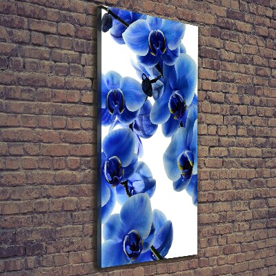 Vertikální Foto obraz na plátně Modrá orchidej