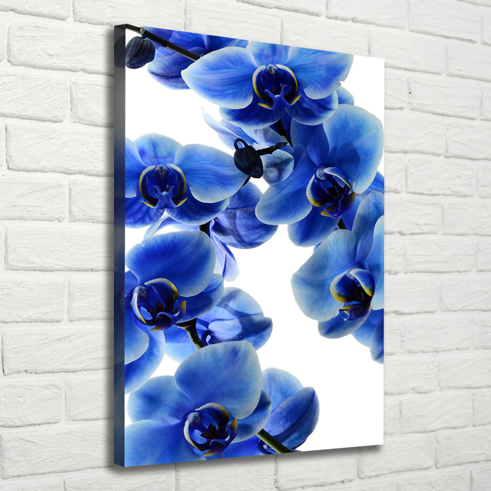Vertikální Foto obraz na plátně Modrá orchidej