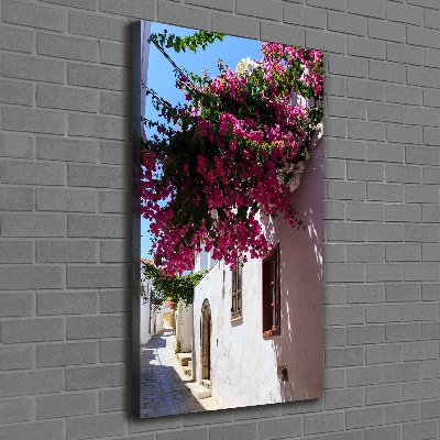 Vertikální Foto obraz canvas Rhodos Řecko