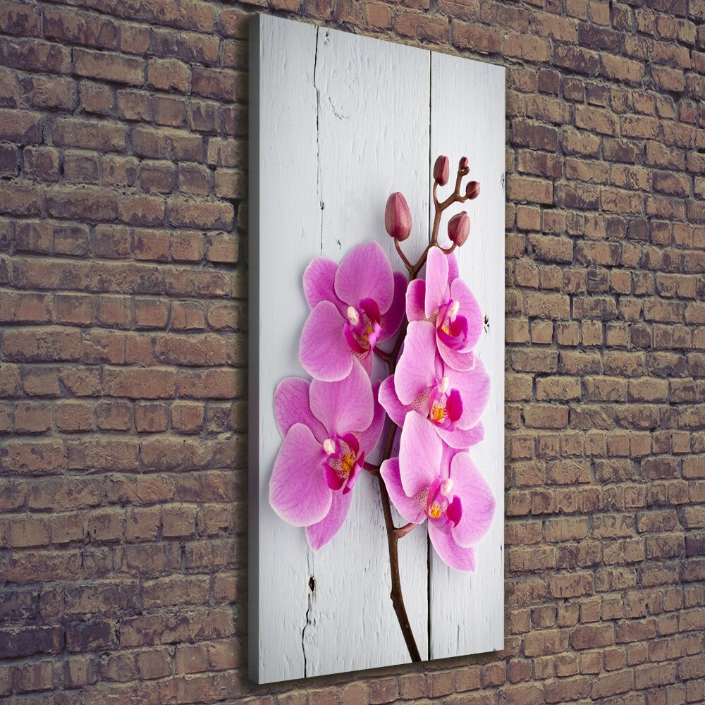 Vertikální Foto obraz na plátně Růžová orchidej