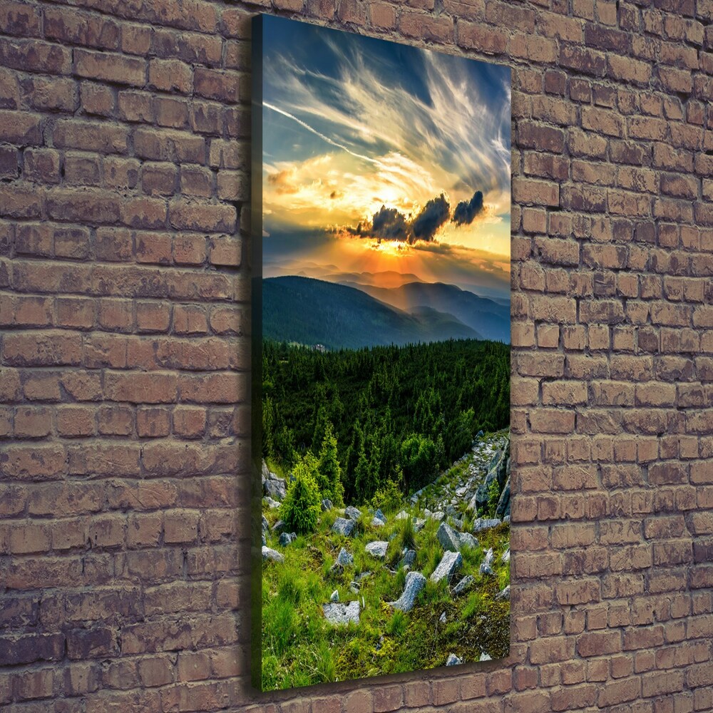 Vertikální Foto obraz canvas Panorama hor