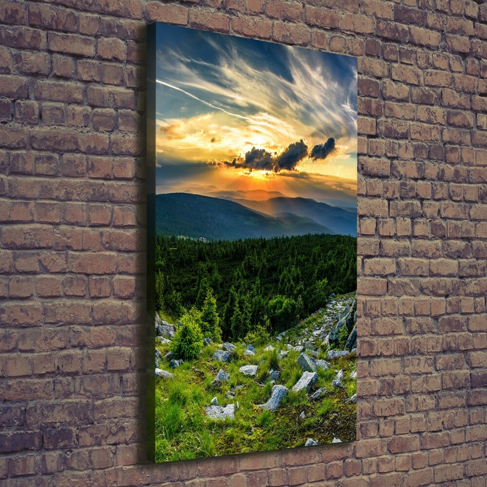 Vertikální Foto obraz canvas Panorama hor