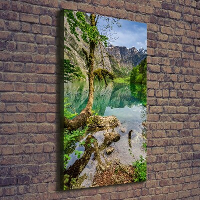 Vertikální Foto obraz na plátně Jezero v horách