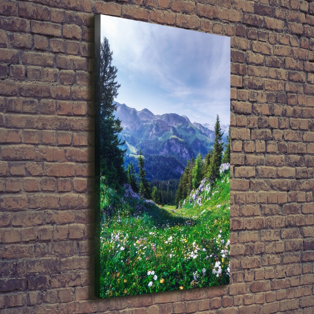 Vertikální Foto obraz tištěný na plátně Alpy