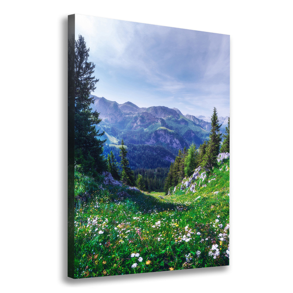 Vertikální Foto obraz tištěný na plátně Alpy