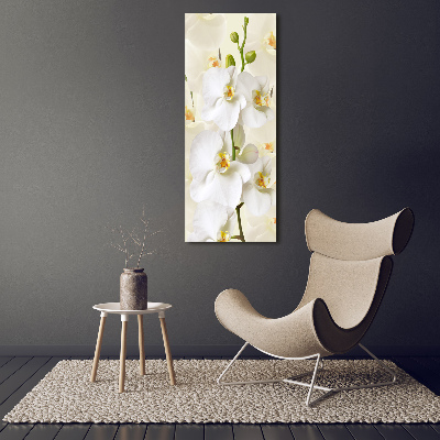 Vertikální Foto obraz na plátně Bílá orchidej