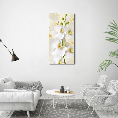 Vertikální Foto obraz na plátně Bílá orchidej