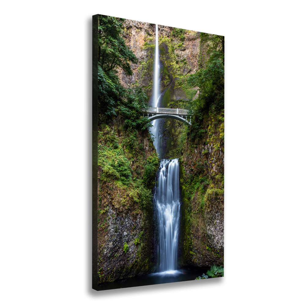 Vertikální Vertikální Foto obraz na plátně do obýváku Vodopád