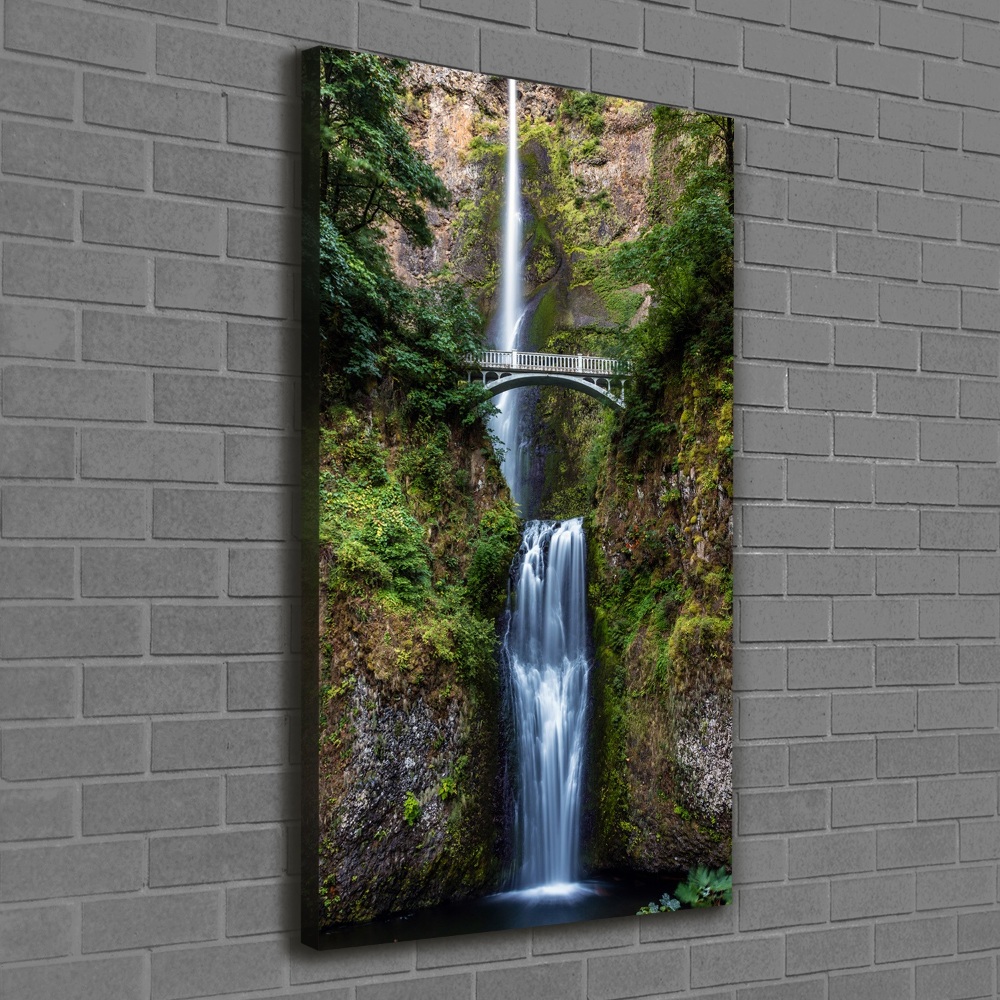 Vertikální Vertikální Foto obraz na plátně do obýváku Vodopád