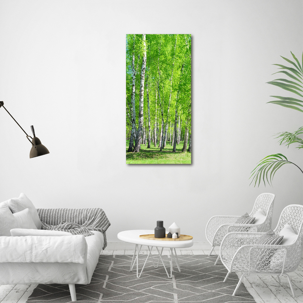 Vertikální Foto obraz canvas Břízový les