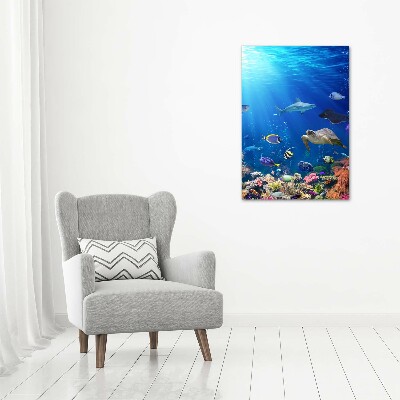 Vertikální Foto obraz na plátně Korálový útes