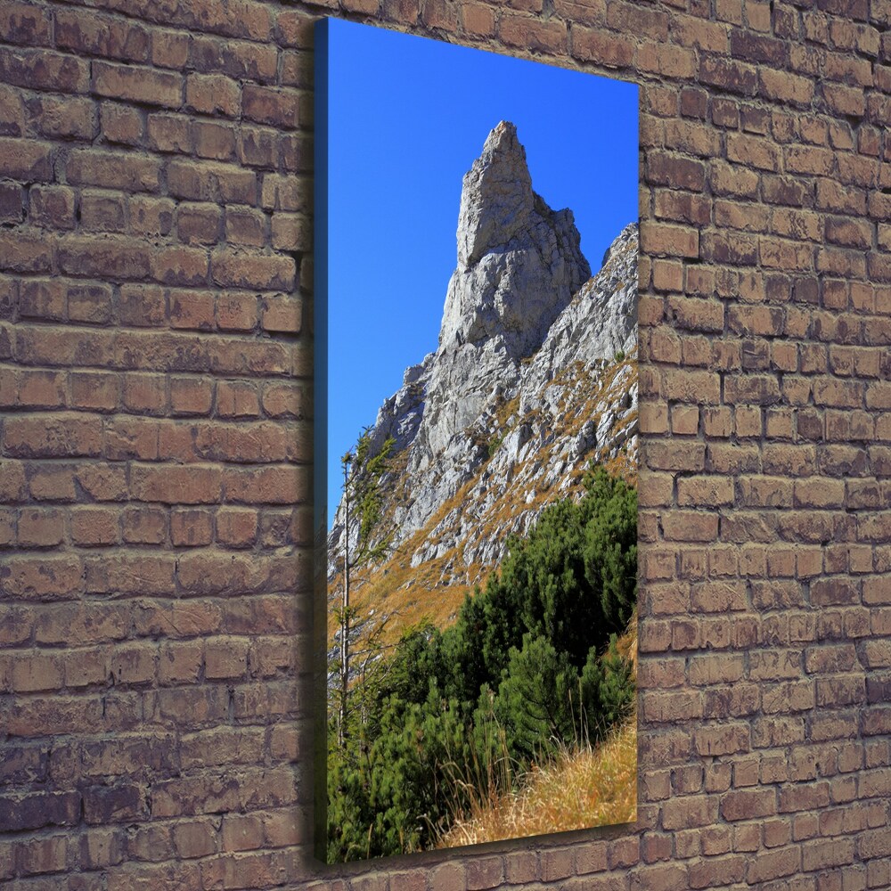 Vertikální Foto obraz na plátně malý Giewont Tatry