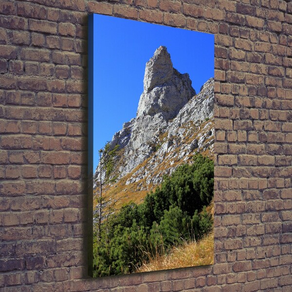 Vertikální Foto obraz na plátně malý Giewont Tatry