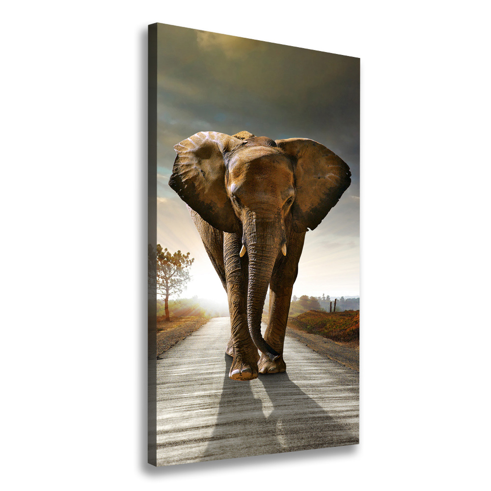Vertikální Foto obraz na plátně Chodící slon