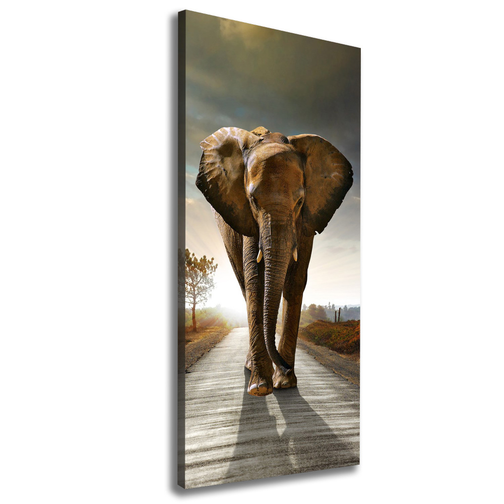 Vertikální Foto obraz na plátně Chodící slon