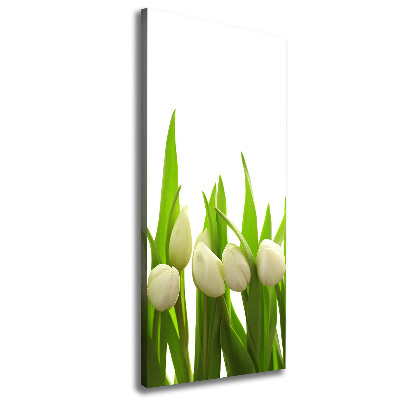 Foto-obraz canvas do obýváku Bílé tulipány