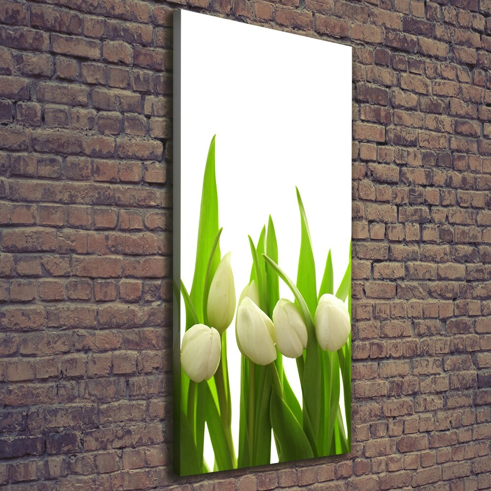 Foto-obraz canvas do obýváku Bílé tulipány