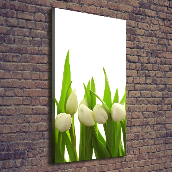 Foto-obraz canvas do obýváku Bílé tulipány