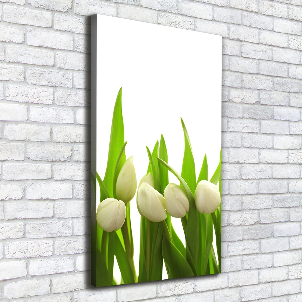 Foto-obraz canvas do obýváku Bílé tulipány