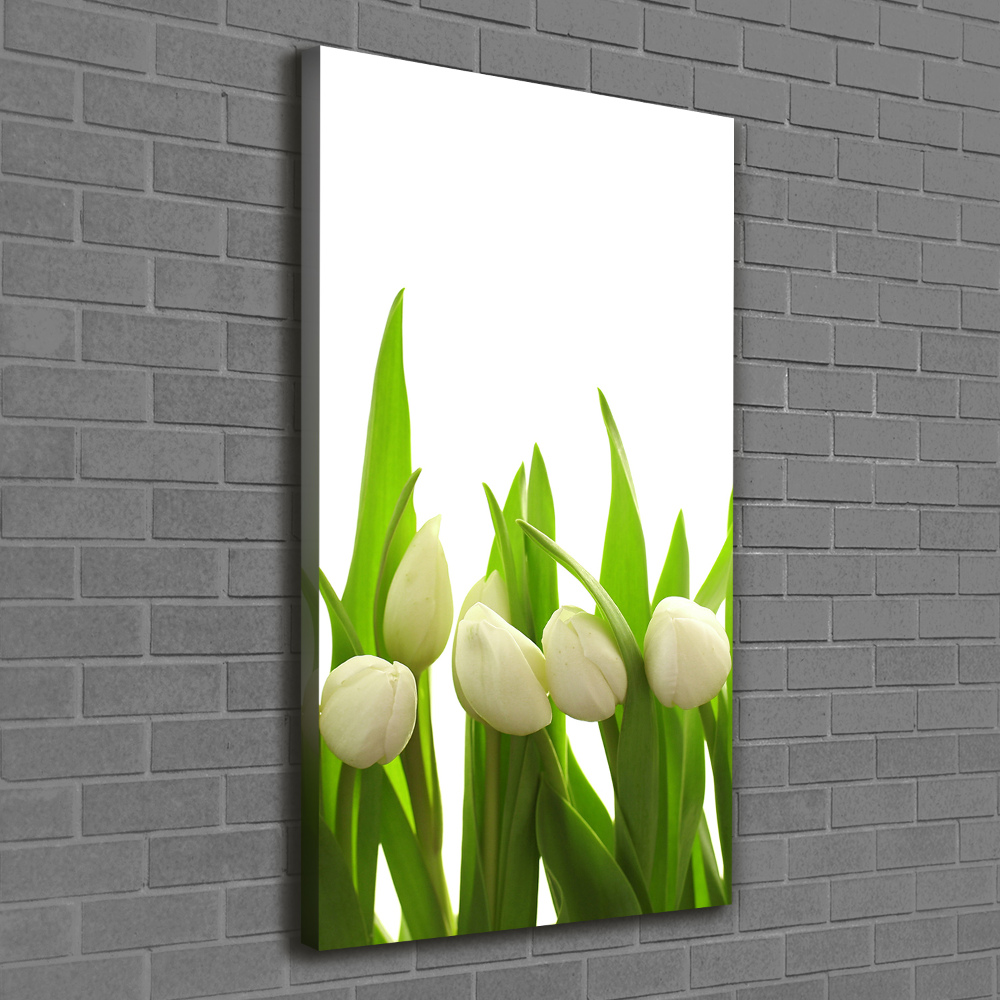 Foto-obraz canvas do obýváku Bílé tulipány