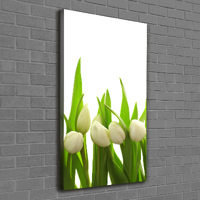 Foto-obraz canvas do obýváku Bílé tulipány