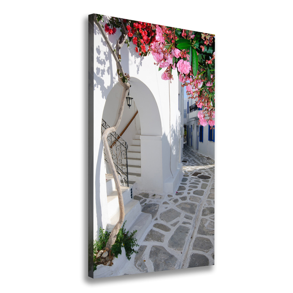 Vertikální Foto obraz na plátně Řecká vesnice