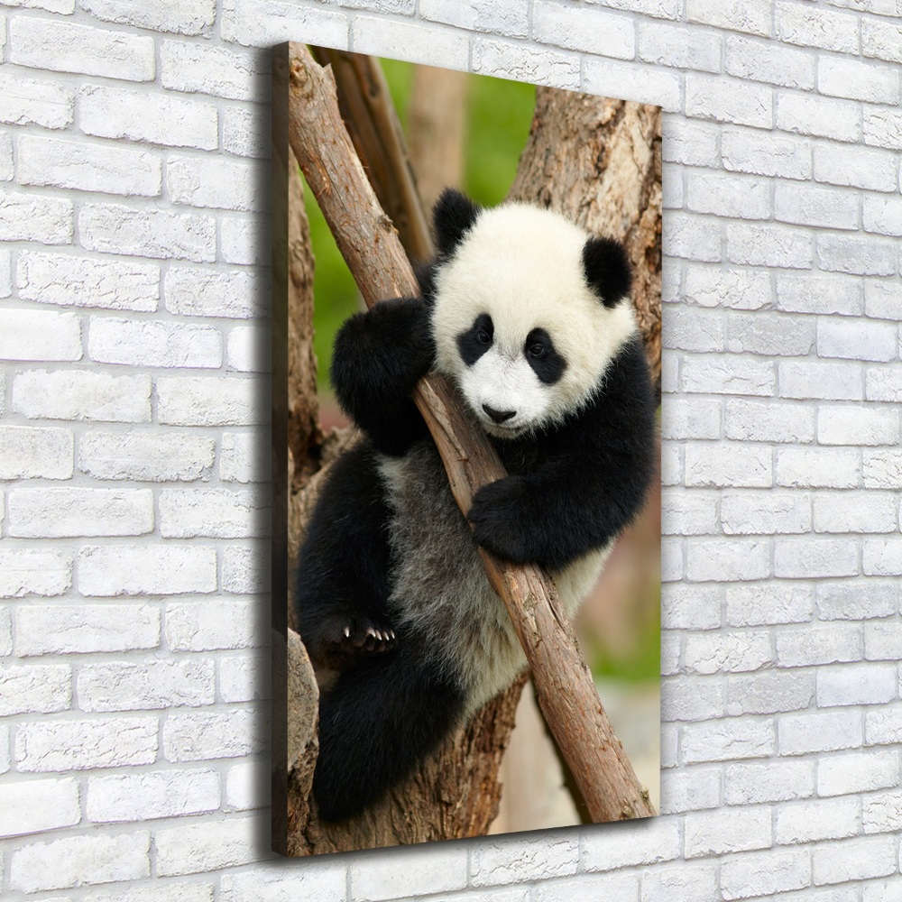 Vertikální Foto obraz na plátně Panda na stromě