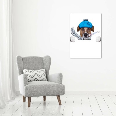 Vertikální Vertikální Foto obraz na plátně do obýváku Nemocný pes