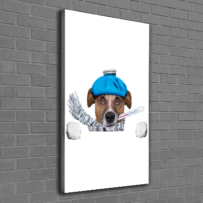 Vertikální Vertikální Foto obraz na plátně do obýváku Nemocný pes