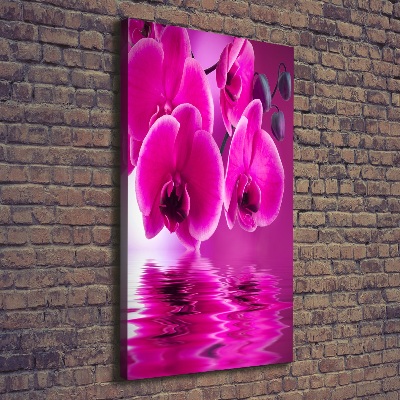 Vertikální Foto obraz na plátně Růžová orchidej