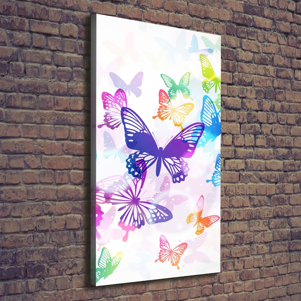 Vertikální Foto obraz na plátně Barevní motýli