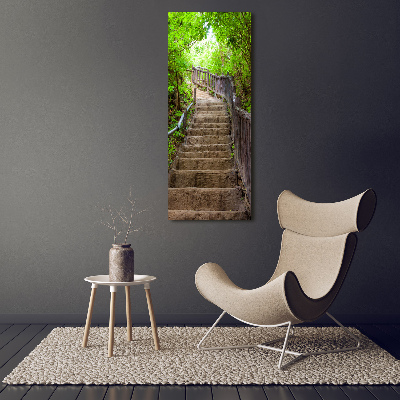 Vertikální Foto obraz na plátně Schody v lese
