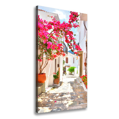 Vertikální Foto obraz na plátně Řecké ulice