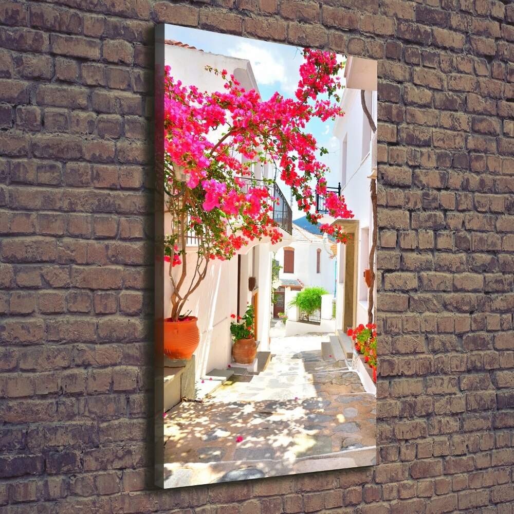 Vertikální Foto obraz na plátně Řecké ulice