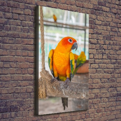 Vertikální Moderní fotoobraz canvas na rámu Papoušek