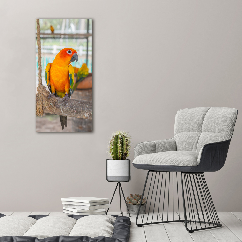 Vertikální Moderní fotoobraz canvas na rámu Papoušek